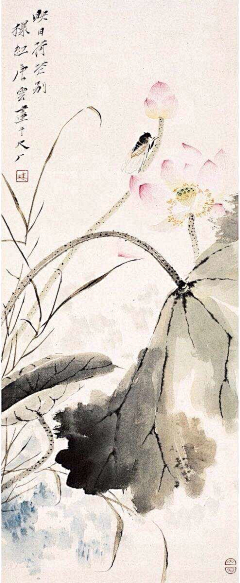 玉岭花采集到待归类采集