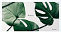Landing Page for ByKetik