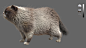 Grumpy Cat, Yannick Vincent : Grumpy Cat by Yannick Vincent on ArtStation.