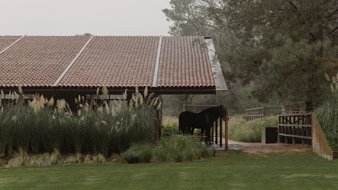 08_SAN-RAMON-EQUESTR...