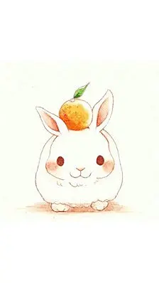 ：个人收藏*✨iPhone 6壁纸❤️「兔兔」~