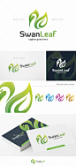 天鹅叶-标志模板动物标志模板Swan Leaf - Logo Template - Animals Logo Templates动物,动物,美丽,鸟,鸟类,化妆品、优雅,环境,飞,飞,鹅,绿色,叶子,树叶,奢侈,自然,自然,沙龙,天空,水疗,天鹅,翅膀,翅膀 animal, animals, beauty, bird, birds, cosmetic, elegant, environment, fly, flying, goose, green, leaf, leaves, luxury, natura