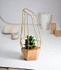 Geometric planter