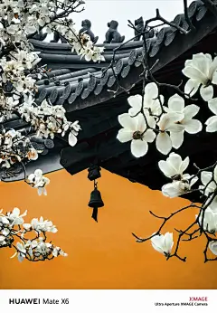 我看到的VS我拍到的｜南京春日壁纸限时上新 - 小红书