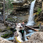 Meet Gary, the Hiking Rescue Cat Who Goes on Pawsome Mountain Adventures : This cat loves the outdoors so much that he tags along with his humans on mountain hikes.