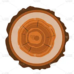 具有环状和树皮向量的树干横截面平面设计图解