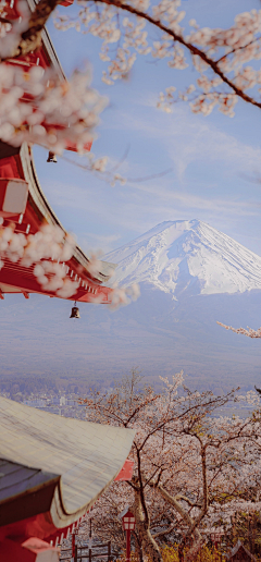 TonarinoTotoro采集到【Scenery】