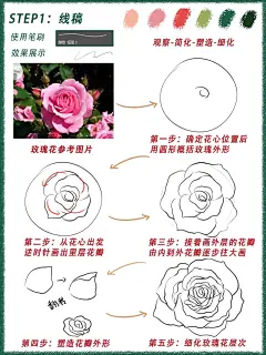零基础学插画|ps板绘教程|玫瑰花插画