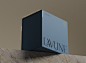 Brand Design branding  candle packaging Packaging packaging design print design 