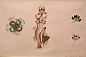 沙漠之花｜常沙娜敦煌壁画临摹手稿与图案（80幅）_手机搜狐网
