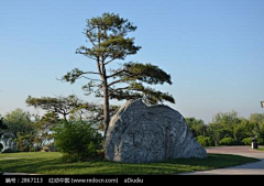 橘子时空采集到公园