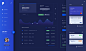 Dark paypal dashboard