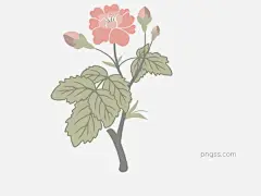 手绘小清新淡粉色花苞山茶花图片大小1369x1024px 图片尺寸267.69 KB 来自PNG搜索网 pngss.com 免费免扣png素材下载！淡粉色#花苞#卡通手绘#山茶花#手绘#手绘山茶花#小清新#