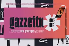 独特怪诞酸性逆反差杂志封面标题logo设计无衬线英文字体家族 Gazzetta Font Family插图