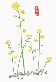 油菜花素材  - 源文件下载【酷图网】油菜花,油菜花特写,油菜花手绘,手绘,素材,卡通,线稿,插画,卡通油菜花,手绘油菜花,油菜花插画,油菜花素材,油菜花元素,手绘插画油菜,手绘油菜素材,卡通油菜素材,卡通油菜元素,
