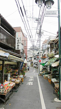 花癖症采集到街景