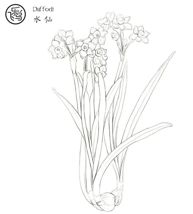 #手绘素材#【花草线稿】，出自飞乐鸟的《...