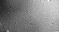 Nipic_5624330_20150428190819619000
