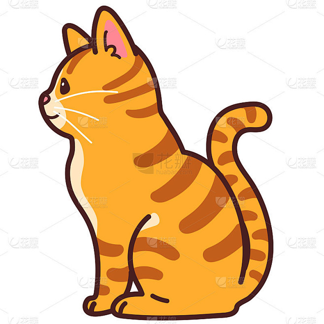 简单可爱的橙色虎斑猫坐在侧面轮廓