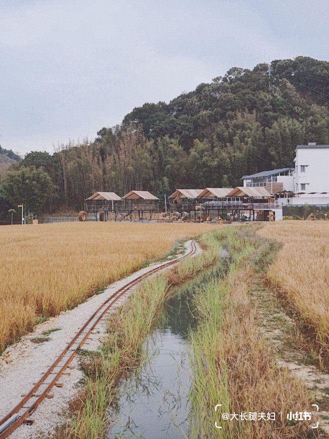 广州·从化温泉民宿｜在稻田间·享受慢时光 : 民宿亮点 【稻田美景】民宿位于米埗小镇，“米埗”是粮食交易码头的意思，小镇有大片的稻田美景，民宿 ...
