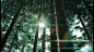【GIF案例】阳光森林动漫公众号配图