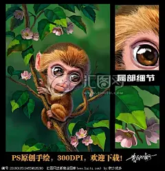 萌宠 猴子 插画 手绘猴