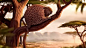 ROLLIN' SAFARI - 'Sleeping Beauty' - Official Trailer ITFS 2—在线播放—优酷网，视频高清在线观看