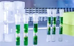 科学实验室塑料微管中的绿色透明液体。从植物样本中提取DNA。