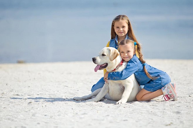 沙滩上的狗与女孩图片