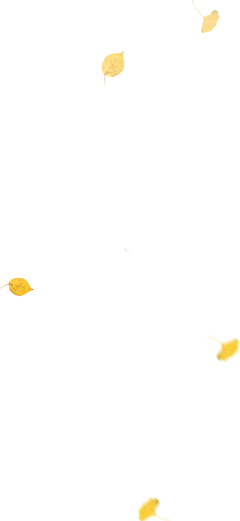 calla1213采集到【素材】花瓣、漂浮PNG