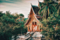 丛林里的寺庙，老挝 - 宋恩庭 - 图虫网 - 优质摄影师交流社区