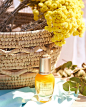 L'OCCITANE en Provence (@loccitane)的ins主页 · Pinsta.me - Instagram网页版 | 发现搜集喜愛的ins用戶 - Tofo/Lookins.me