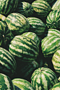 watermelon lot
