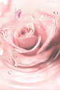 810d50511149304369d9b15f7594941b5df5d13875b62-ziyT5a_fw1200