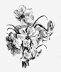 手绘黑白线条花卉图标 页面网页 平面电商 创意素材