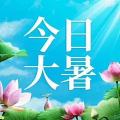 大暑节气祝福公众号次图