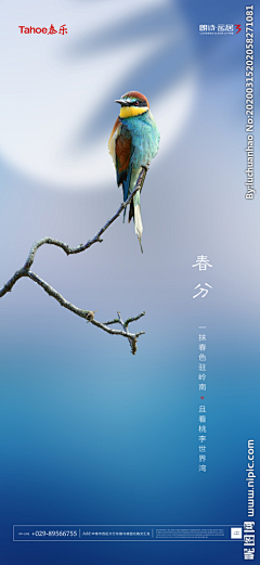壹小格采集到节日类（春分）