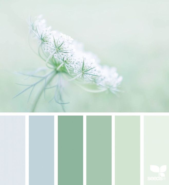 植物的天性色彩觉得很美,吉林市网页制作