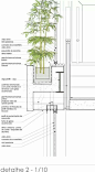 #architectureportfolio detalhe de projeto / concreto / planta / vegetação #arquitetura #architecture #arquitectura #interiordesign #design #photography #details #detalhes