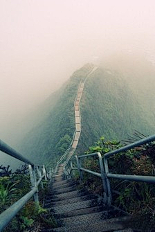 陌存采集到场景