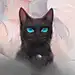 暴走的小黑