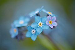 小静:)采集到Photo_Blue