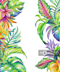 exotic foliage, tropical nature, abstract flowers and leaves, watercolor illustration isolated on white background