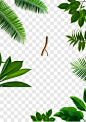 绿叶 植物 PNG效果元素PNG图片➤来自 PNG搜索网 pngss.com 免费免扣png素材下载！