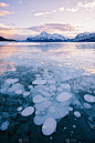 加拿大阿尔伯塔省诺德格附近的 clearwater 县亚伯拉罕湖中冻结的甲烷气泡。艾略特峰被背景中的