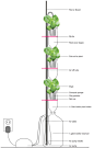 window farm
wf-3p-diagram