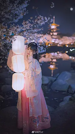 又到了拍樱花的季节，放送一波夜樱壁纸。
白天景区人太多了，晚上拍摄真是好清净 ​​​​