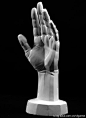 [转载]收集了一些人体结构素材图片，分享 #人体结构# #雕塑#