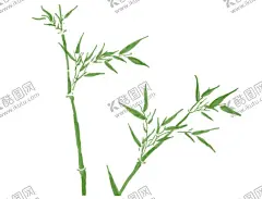 水墨竹子 【酷图网】水墨竹子,富贵竹素材,富贵竹元素,富贵竹背景,富贵竹图片,竹子,竹子素材,竹子元素,竹子背景,竹子底纹,矢量竹子,竹,竹素材,竹元素,竹背景,矢量竹,竹报平安,手绘竹子,高清竹子,中国风竹子,植物竹子,竹林