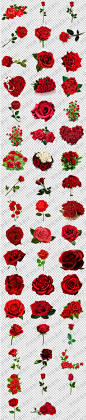 浪漫爱情红色玫瑰花红玫瑰png格式透明底免抠元素图片设计素材-淘宝网